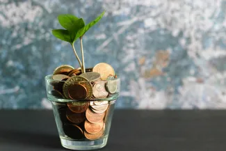 green plant in clear glass vase by micheile henderson courtesy of Unsplash.